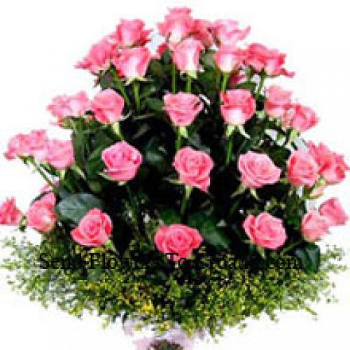 31 Rosas Cor-de-Rosa Pinky Pink