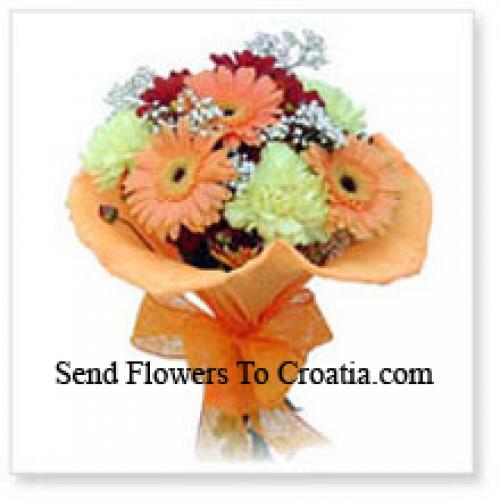 11 Assorted Cute Gerberas