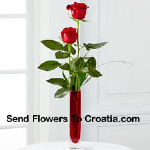 2 Sweet Red Roses in Vase