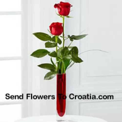 Twee rode rozen in een rode reageerbuisvaas (We behouden ons het recht voor om de vaas te vervangen in geval van niet-beschikbaarheid. Beperkte voorraad)